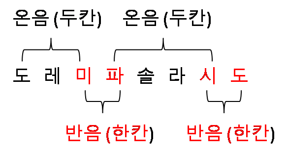 온음과 반음